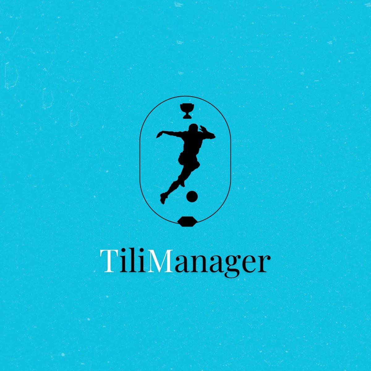 TiliManager